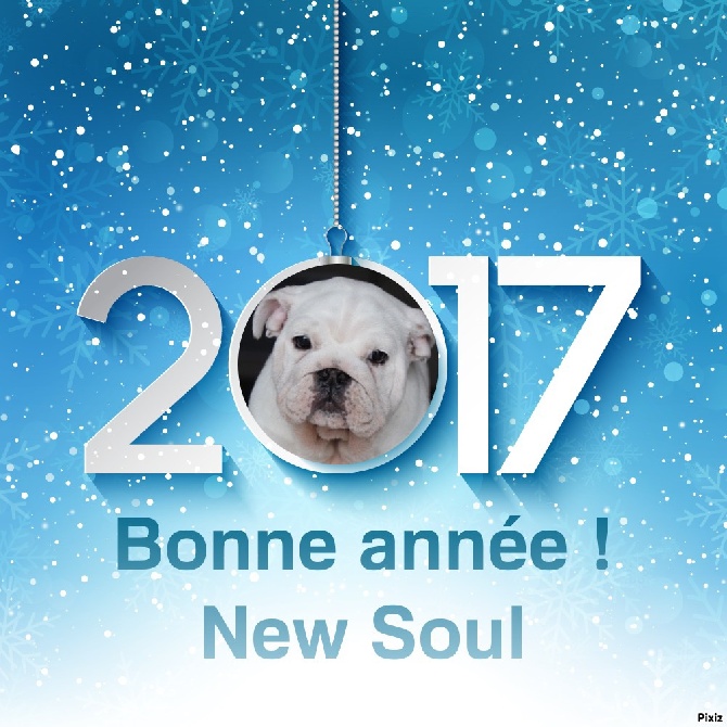 New Soul - très bonne année 2017
