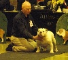  - Bulldog INC Champ Show 2012