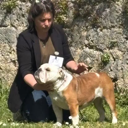 New Soul Vanilla ice