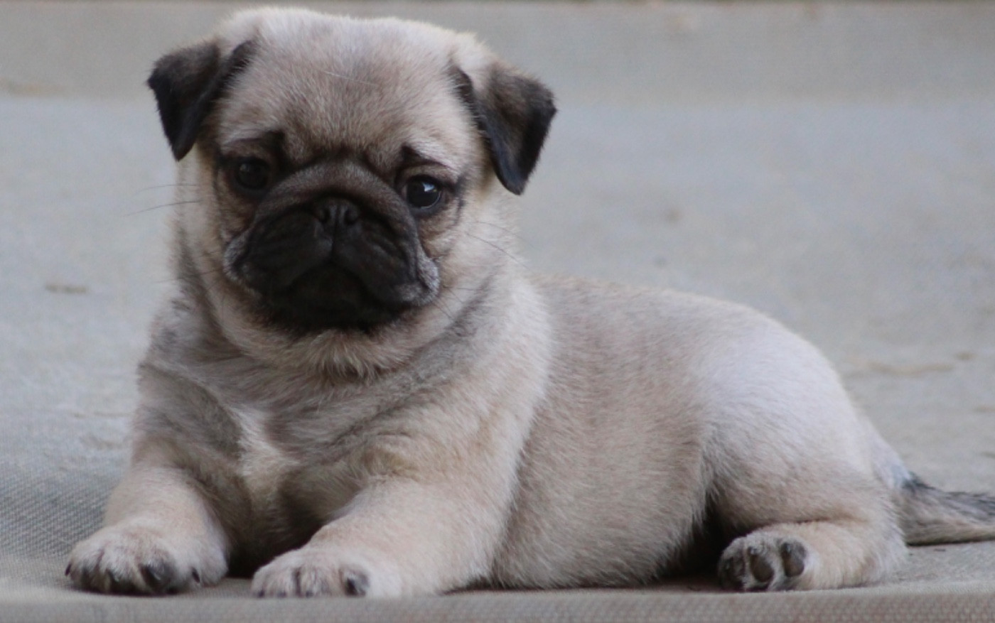 New Soul Velvet Underground