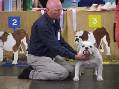 New Soul - London Bulldog society show